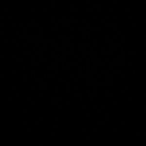 Meet your Posher, Angelina